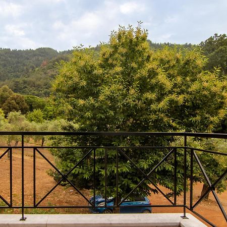 Evergreen Thassos Skala Potamia  Bagian luar foto